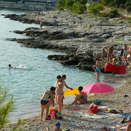 Bogdan Daire *